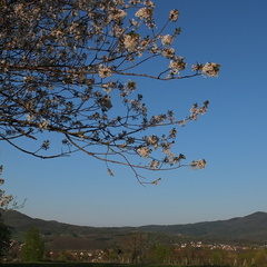 20190420 04