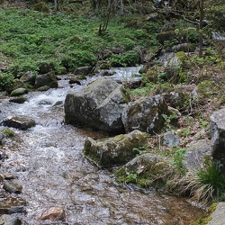 20190421 11 (178382 visits) 20190421 11