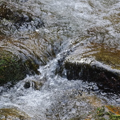 20190421 13