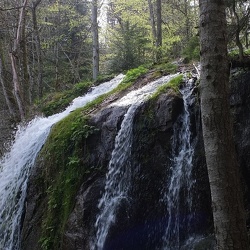 20190421 15 (181496 visits) 20190421 15