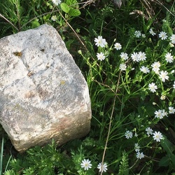 20190422 14 (180562 visits) 20190422 14