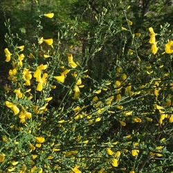 20190422 15 (179607 visits) 20190422 15