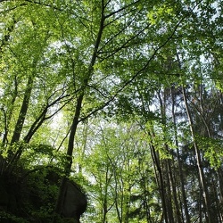 20190422 06 (185697 visits) 20190422 06