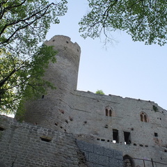 20190422 07 (196408 Besuche) 20190422 07