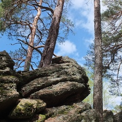 20190425 09 (185077 visits) 20190425 09