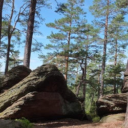 20190425 10 (184175 visits) 20190425 10