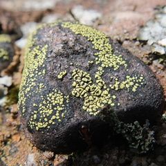 20190425 16