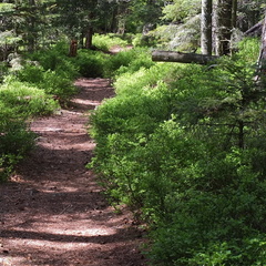 20190425 19 (194209 Besuche) 20190425 19